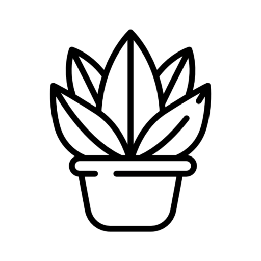 icon4